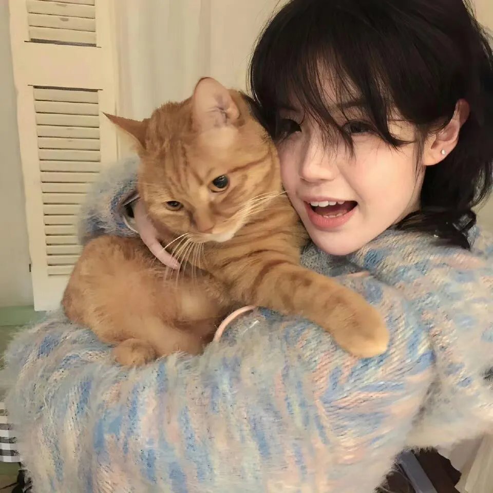 加菲猫的幸福生活第五季
