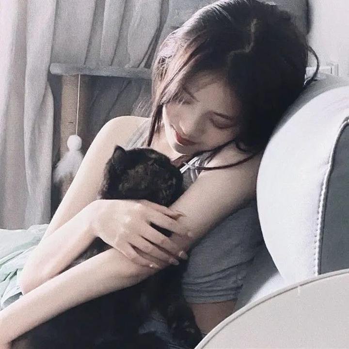 驶向达尔文